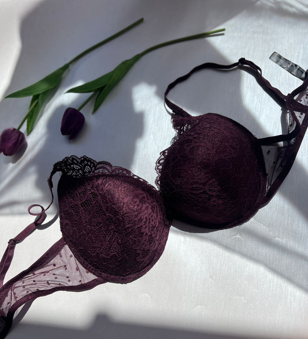 Lace Mesh Push-Up Bra (85)