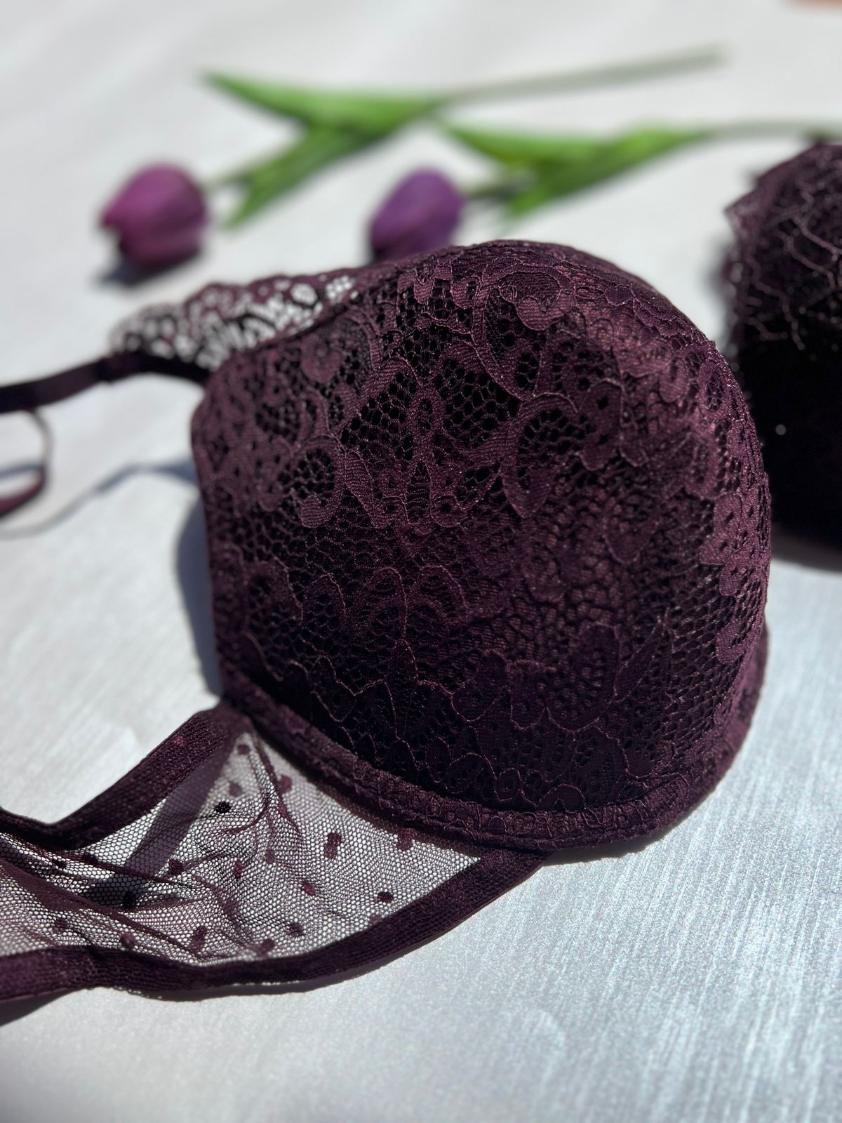 Lace Mesh Push-Up Bra (85)