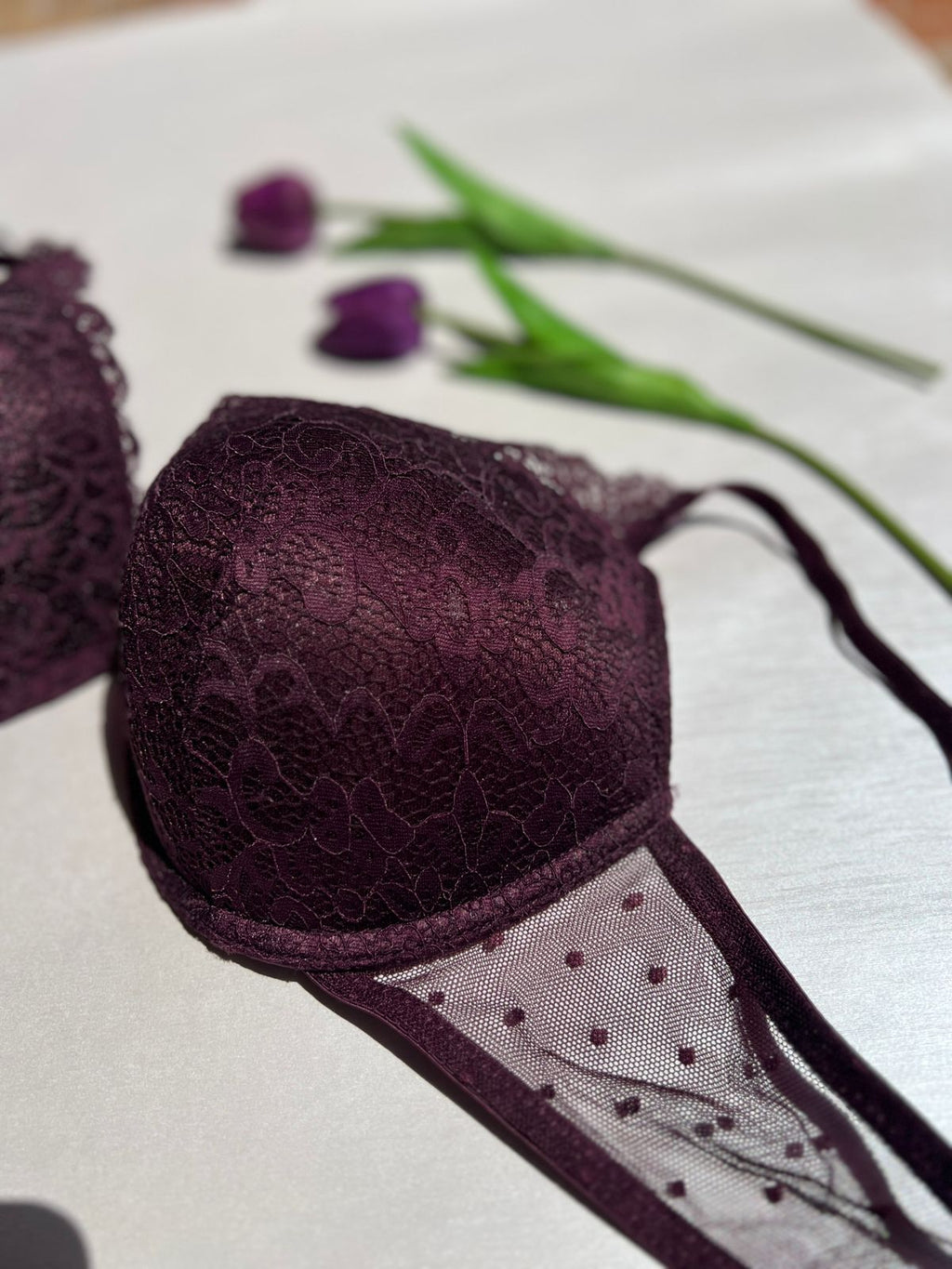 Lace Mesh Push-Up Bra (85)